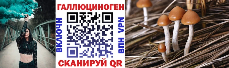 Псилоцибиновые грибы мицелий  Клин 