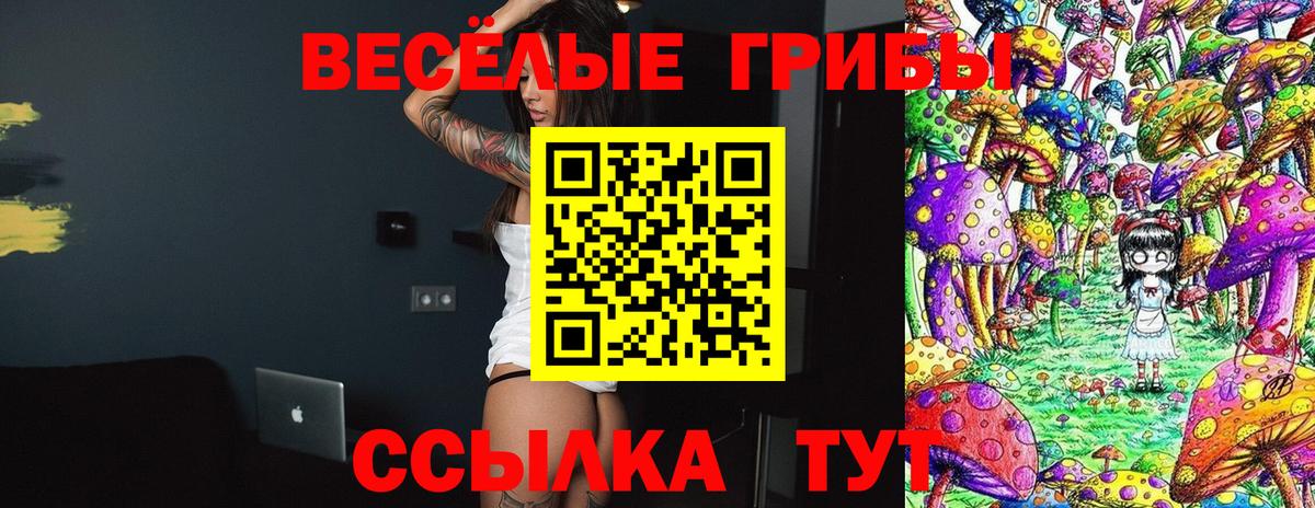 Псилоцибиновые грибы Psilocybe Клин