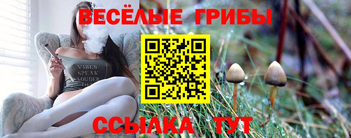 Псилоцибиновые грибы MAGIC MUSHROOMS  Галлюциногенные грибы Magic Shrooms  Клин  Вход с VPN 